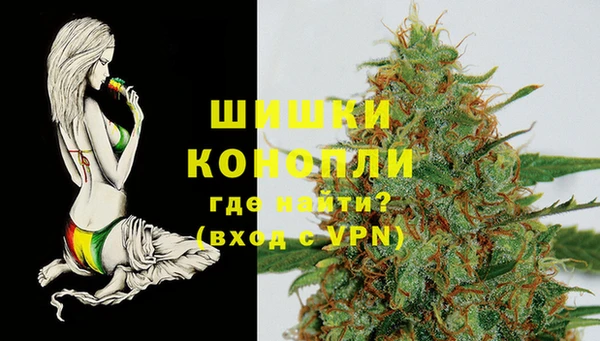 ПСИЛОЦИБИНОВЫЕ ГРИБЫ Абаза