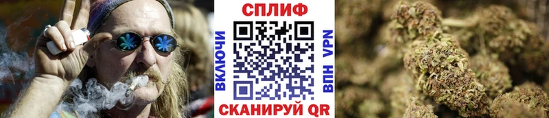 наркошоп  Кадников  МАРИХУАНА OG Kush 